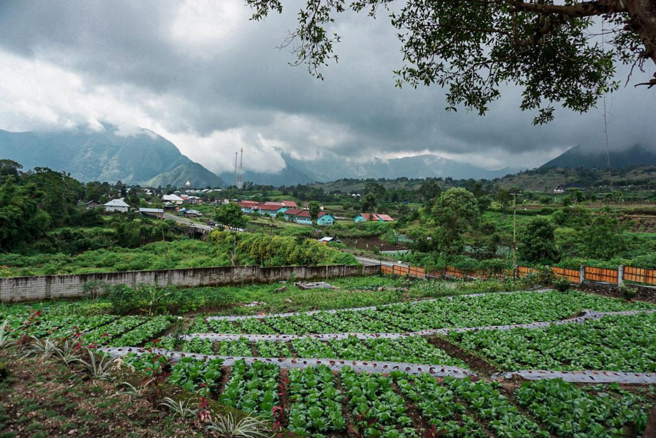 Rinjani Hill Hotel Sembalunlawang Buitenkant foto