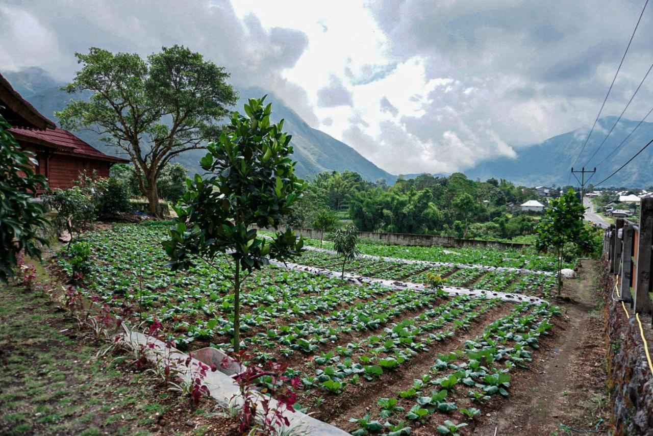 Rinjani Hill Hotel Sembalunlawang Buitenkant foto
