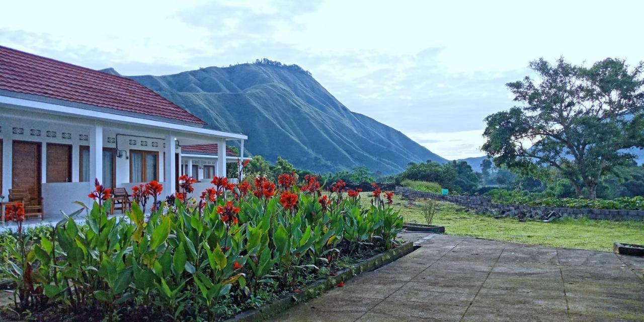 Rinjani Hill Hotel Sembalunlawang Buitenkant foto